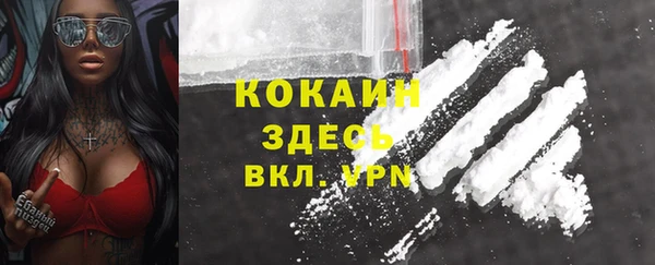 тгк Алексин