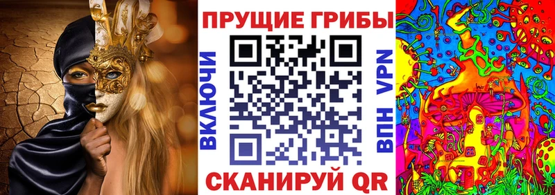 MEGA ссылка  Ардатов  Галлюциногенные грибы GOLDEN TEACHER 